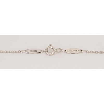 Tiffany & Co Chain in 18K White Gold 20'' Long